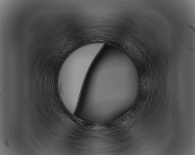 X0000097610223200802290804