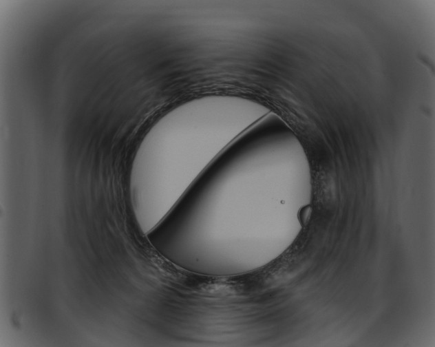 X0000097610224200802290804