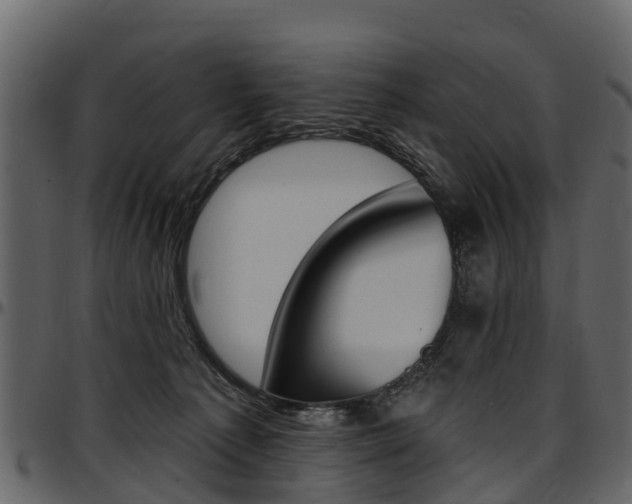 X0000097610225200802290804