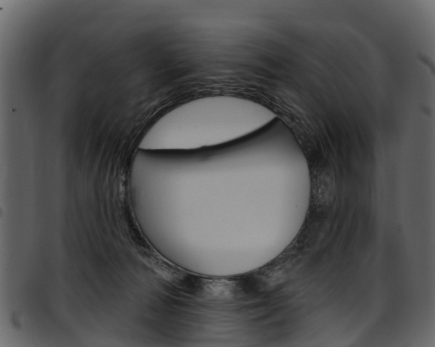 X0000097610226200802290804
