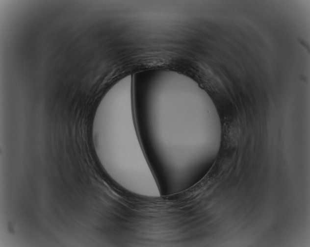 X0000097610227200802290804