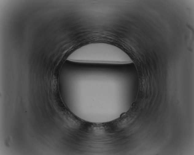 X0000097610228200802290804