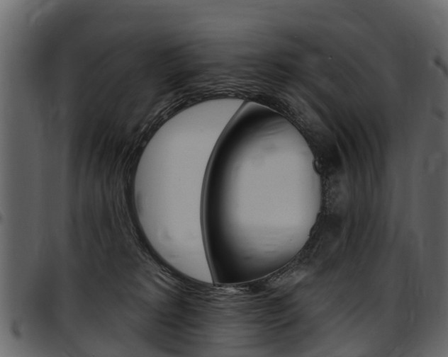 X0000097610229200802290804