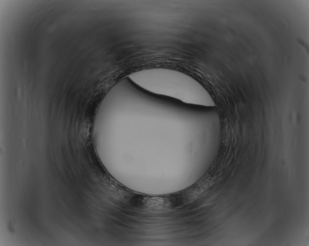 X0000097610230200802290804