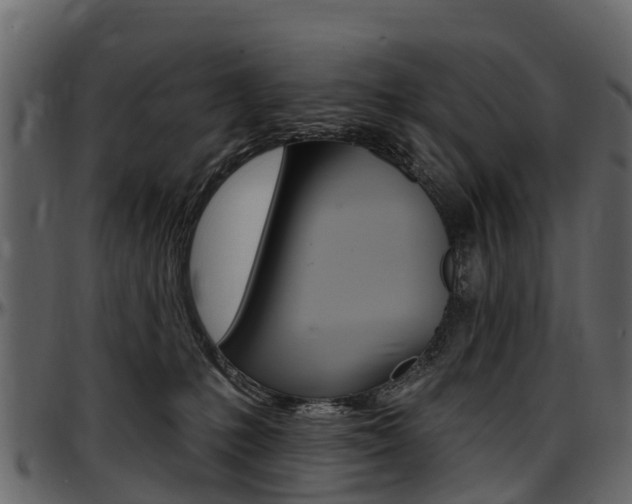 X0000097610231200802290804