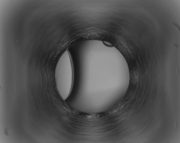 X0000097610232200802290804