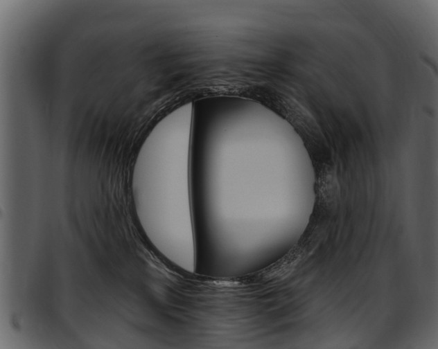 X0000097610233200802290803