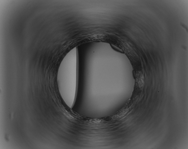 X0000097610235200802290803