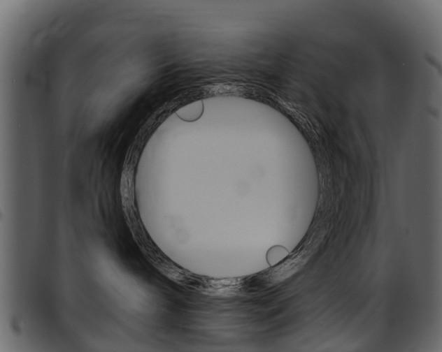 X0000097610240200802290803