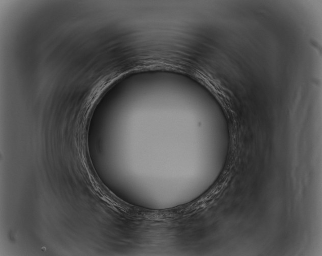 X0000097610241200802290803