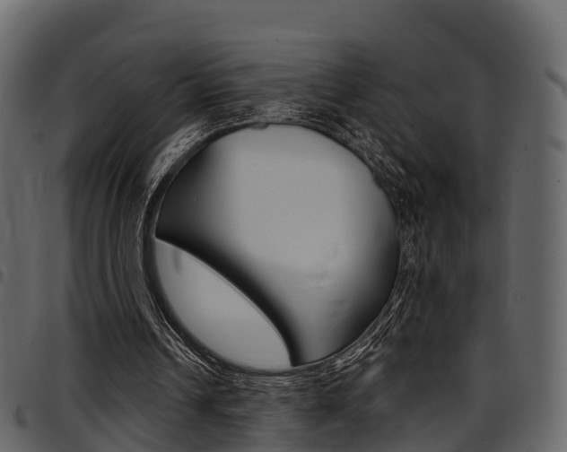 X0000097610242200802290803