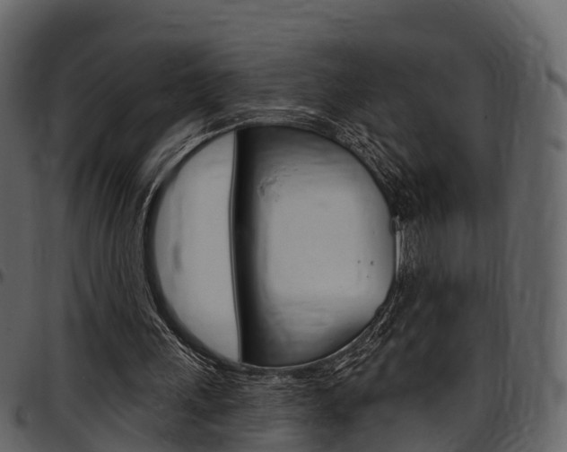 X0000097610243200802290803