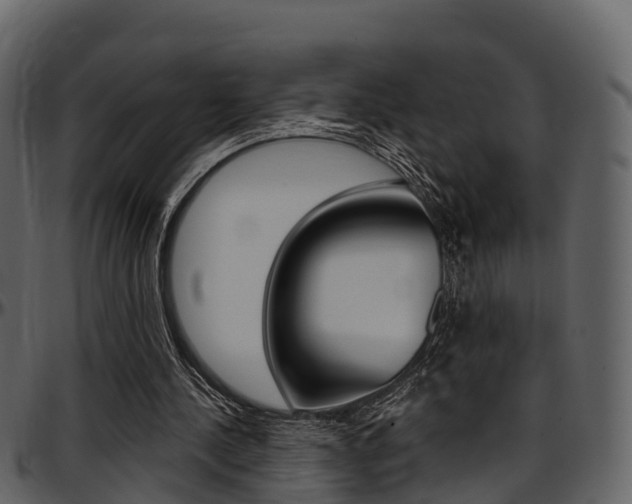 X0000097610244200802290803