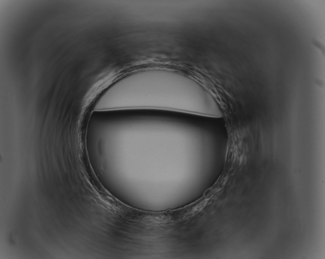X0000097610245200802290803