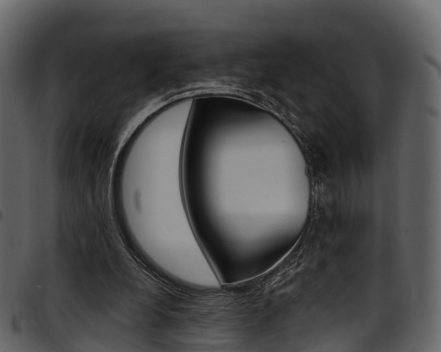 X0000097610248200802290803