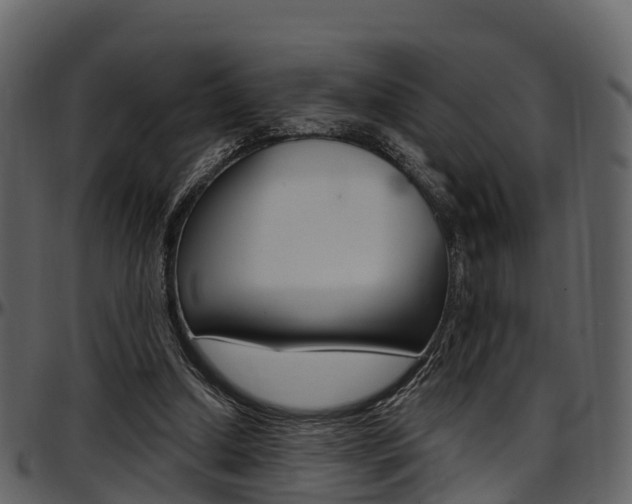 X0000097610250200802290803