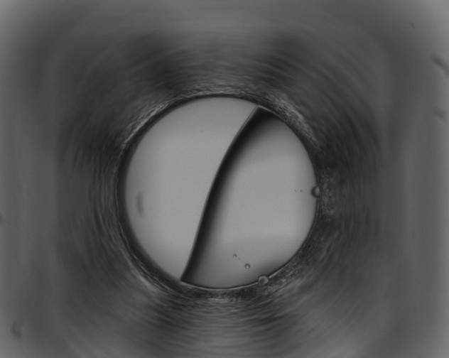 X0000097610251200802290803