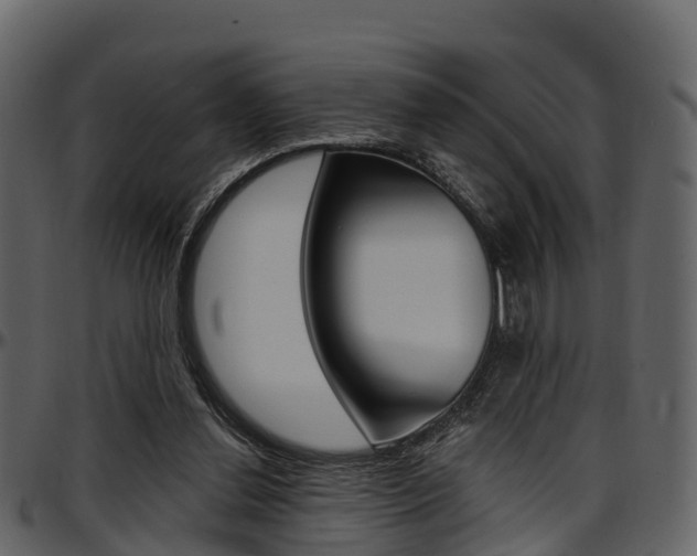 X0000097610252200802290803