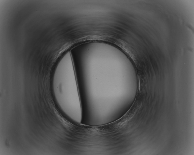 X0000097610253200802290803