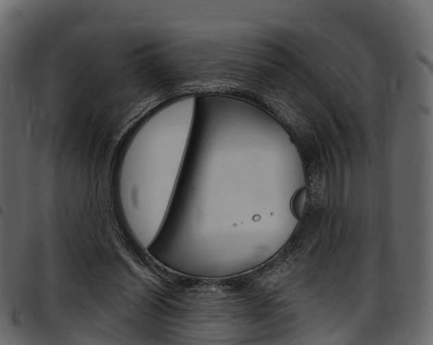 X0000097610254200802290803