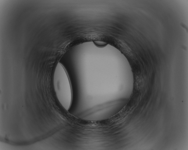 X0000097610259200802290803