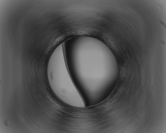 X0000097610260200802290803
