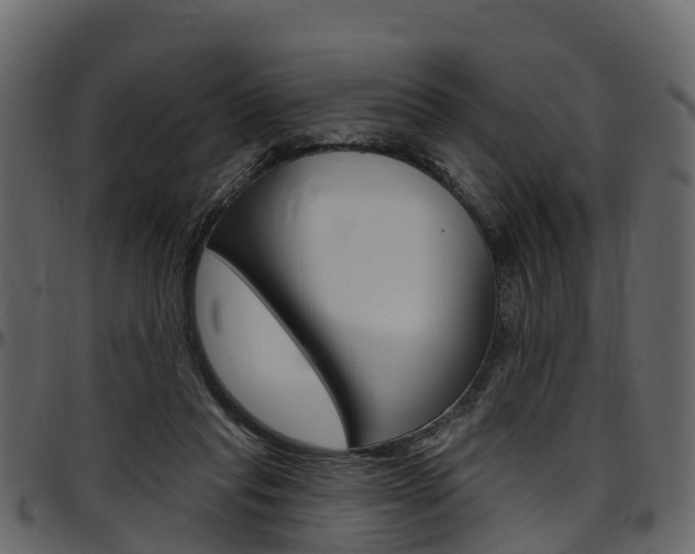 X0000097610261200802290803