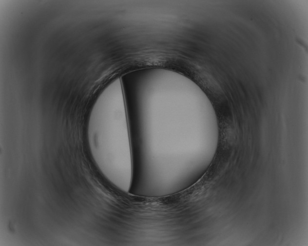 X0000097610262200802290803
