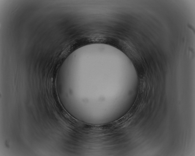 X0000097610263200802290803
