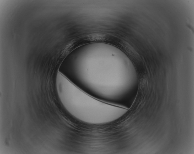 X0000097610264200802290803