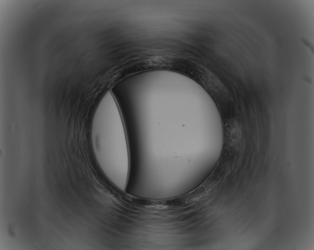 X0000097610266200802290803
