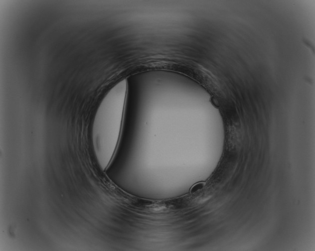 X0000097610267200802290803
