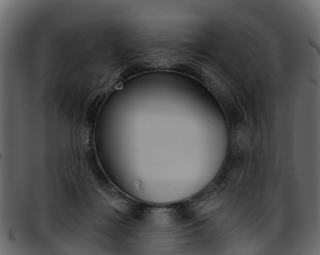 X0000097610268200802290803
