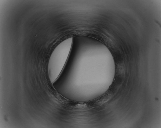 X0000097610271200802290803