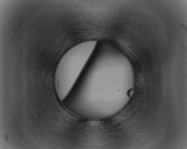 X0000097610273200802290803