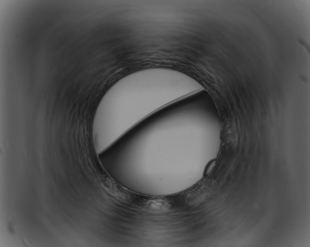 X0000097610275200802290803