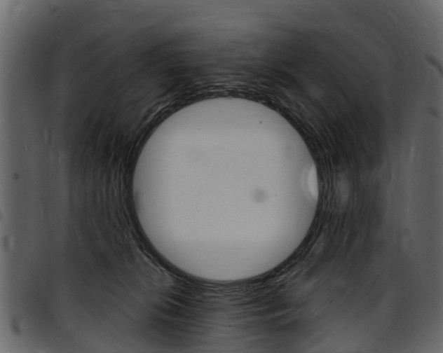X0000097610276200802290803