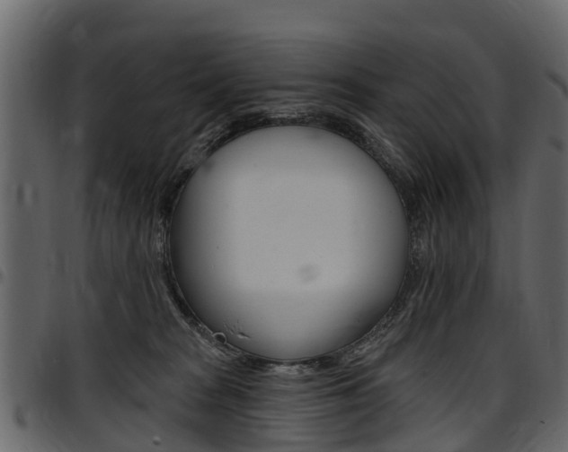 X0000097610277200802290803