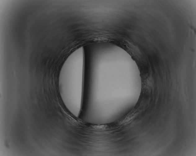 X0000097610281200802290803