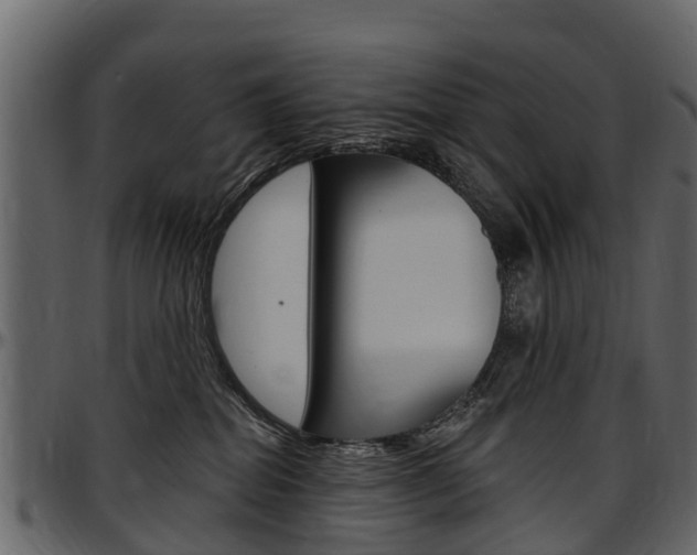 X0000097610282200802290803