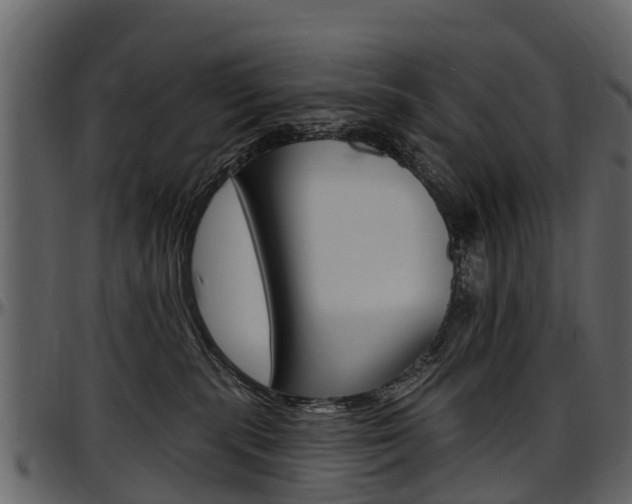 X0000097610283200802290803