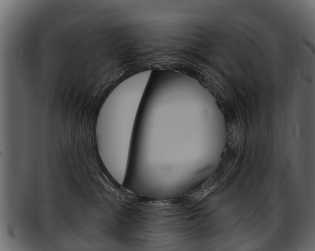 X0000097610284200802290803