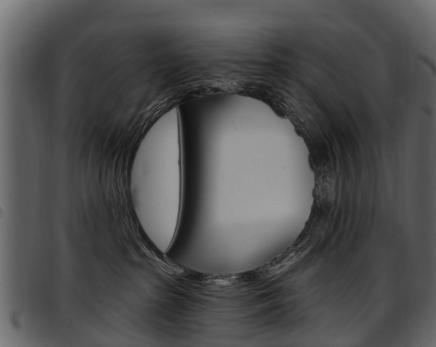 X0000097610285200802290803