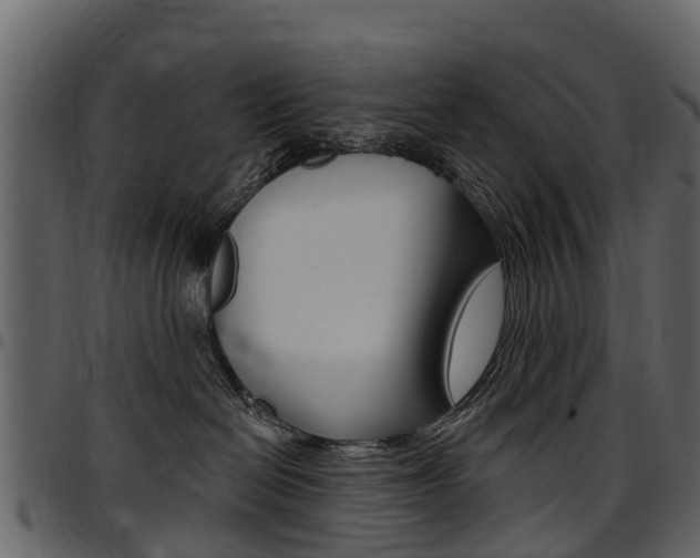X0000097610286200802290803