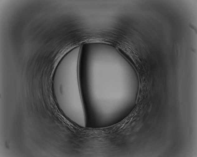X0000097610289200802290803