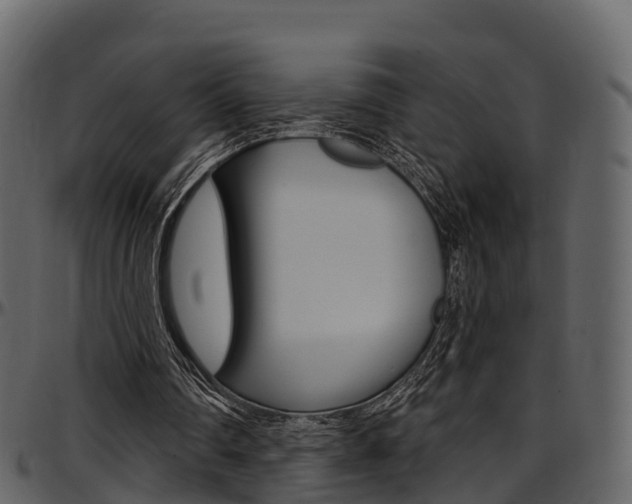 X0000097610290200802290803
