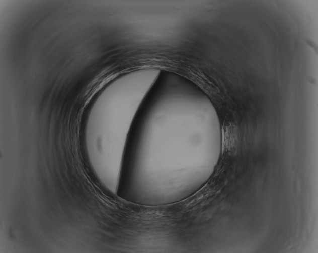 X0000097610291200802290803