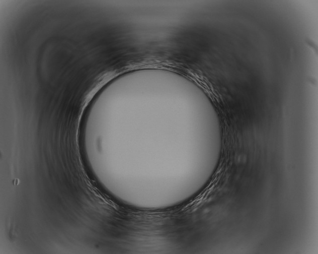 X0000097610292200802290803