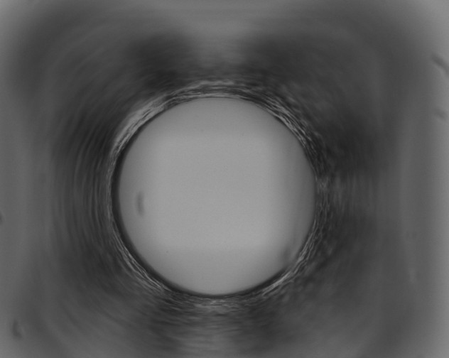 X0000097610293200802290803