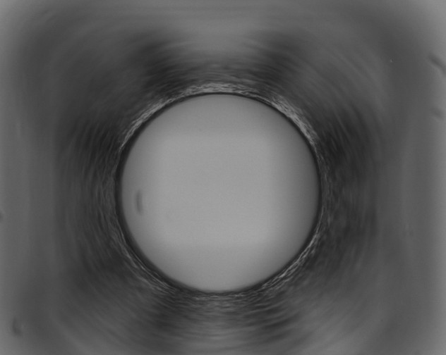X0000097610297200802290803